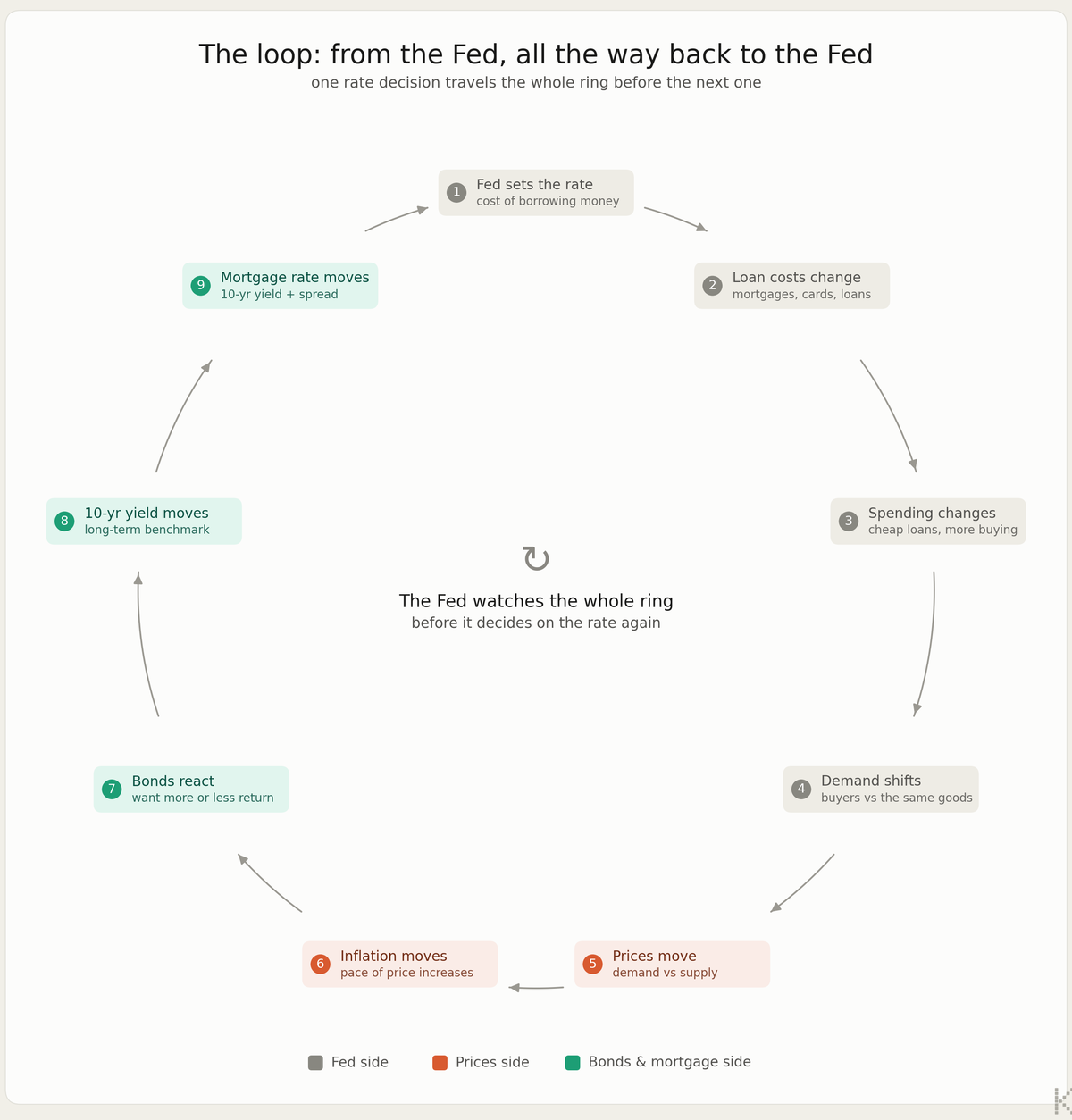 The loop from the Fed all the way back to the Fed: 1 Fed sets the rate, 2 loan costs change, 3 spending changes, 4 demand shifts, 5 prices move, 6 inflation moves, 7 bonds react, 8 10-year yield moves, 9 mortgage rate moves; the Fed watches the whole ring before it decides again